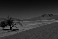 1-Natuur-minimalisatie-Jos-Aben-
