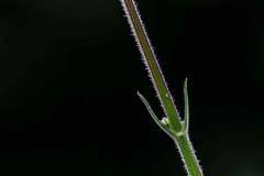 Liesbeth_minimalisme1
