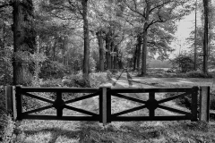 HeGe-21-0745x