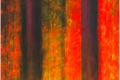 PeKe-Rood